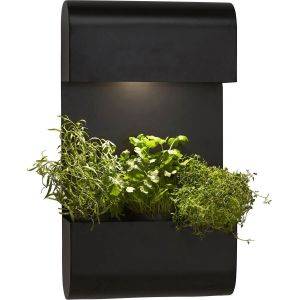 Planta Vägglampa 70cm Svart