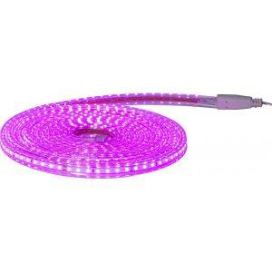 230V LEDstrip Rosa 8,3W 5m