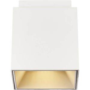 Ethan Takspotlight Vit