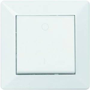 Delta Strömbrytare, Utan glimlampa, 2-pol, RAL 9001