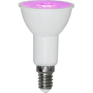 LED-lampa E14 PAR16 Plant Light 8cm Vit