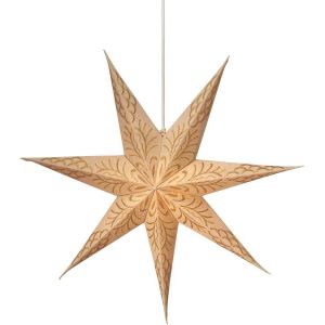 Celeste star Golden sand 60cm