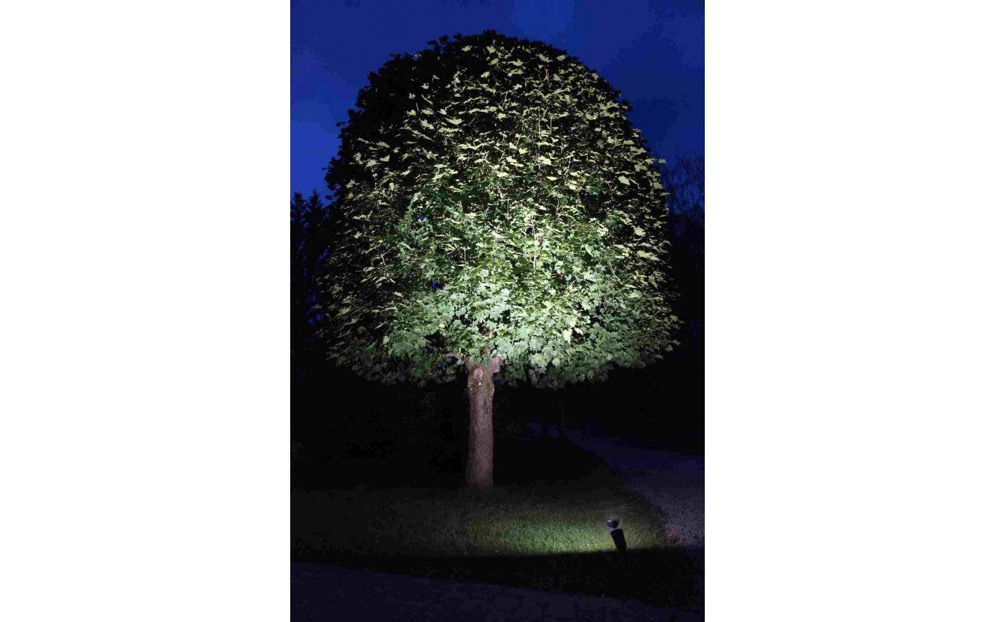 LED-Lampa Spotlight, PAR38 E27 4000K 1250lm 15W(110W)