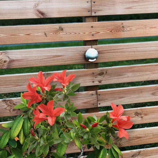 Zenit LED 3000K 20lm 5x0,5W 5-Pack