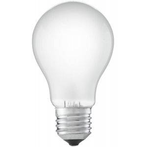 Normal matt E27 24v 25W